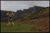 [Junkvist 15 IsleOfSkye-EastCoast-misc-11]