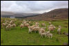 [Junkvist 15 IsleOfSkye-misc-18]
