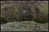 [Tim 15 8916 e]