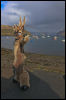 [Junkvist 15 IsleOfSkye-EastCoast-Portree-07]