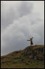 [Junkvist 16 IsleOfSkye-WestCoast-RedHills-16]