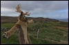 [Junkvist 14 IsleOfSkye-WestCoast-Milovaig-09]