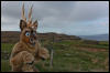 [Junkvist 14 IsleOfSkye-WestCoast-Milovaig-10]