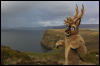 [Junkvist 14 IsleOfSkye-WestCoast-Milovaig-29]