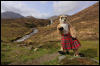 [Junkvist 14 IsleOfSkye-LochAinortAndVicinity-16]
