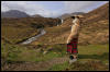 [Junkvist 14 IsleOfSkye-LochAinortAndVicinity-17]