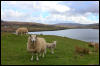 [Junkvist 14 IsleOfSkye-misc-03]