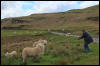 [Junkvist 14 IsleOfSkye-misc-05]