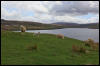 [Junkvist 14 IsleOfSkye-misc-06]