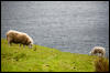 [Junkvist 14 IsleOfSkye-misc-10]