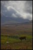 [Junkvist 16 IsleOfSkye WestCoast misc14]