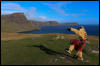 [Junkvist 14 IsleOfSkye-WestCoast-NeistPoint-26]