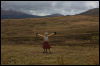 [Junkvist 16 IsleOfSkye-WestCoast-TaliskerVicinity-23]