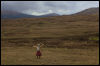 [Junkvist 16 IsleOfSkye-WestCoast-TaliskerVicinity-27]