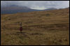 [Junkvist 16 IsleOfSkye-WestCoast-TaliskerVicinity-31]
