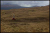 [Junkvist 16 IsleOfSkye-WestCoast-TaliskerVicinity-35]