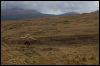 [Junkvist 16 IsleOfSkye-WestCoast-TaliskerVicinity-36]