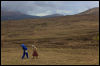 [Junkvist 16 IsleOfSkye-WestCoast-TaliskerVicinity-38]