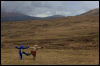 [Junkvist 16 IsleOfSkye-WestCoast-TaliskerVicinity-42]