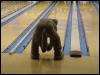 [20030216 Bowling 01]