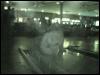 [20020328 FursuitBowling 28]