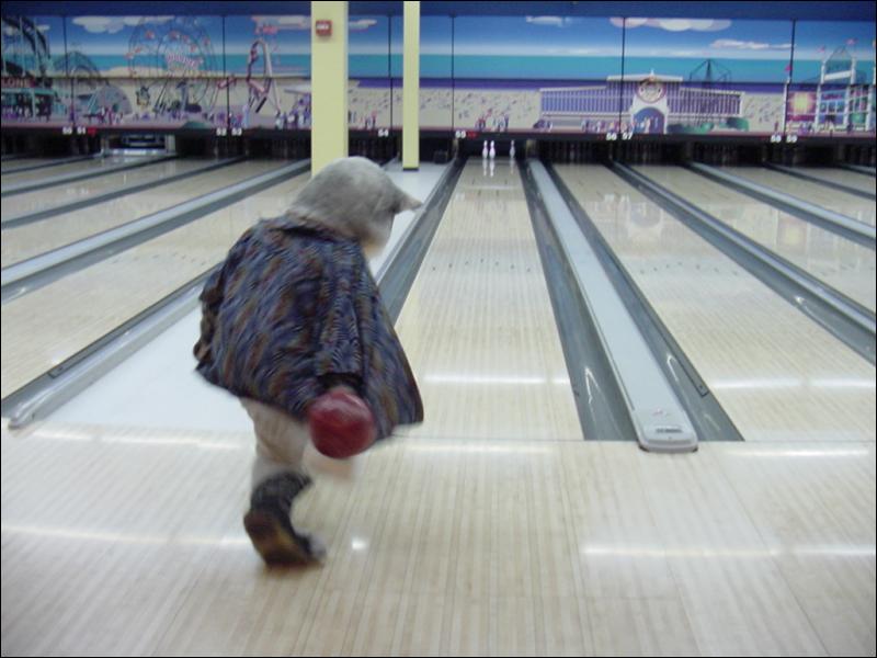 [20021112_Bowling_13.jpg]