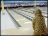 [20021112 Bowling 19]