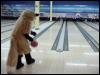 [20021112 Bowling 20]