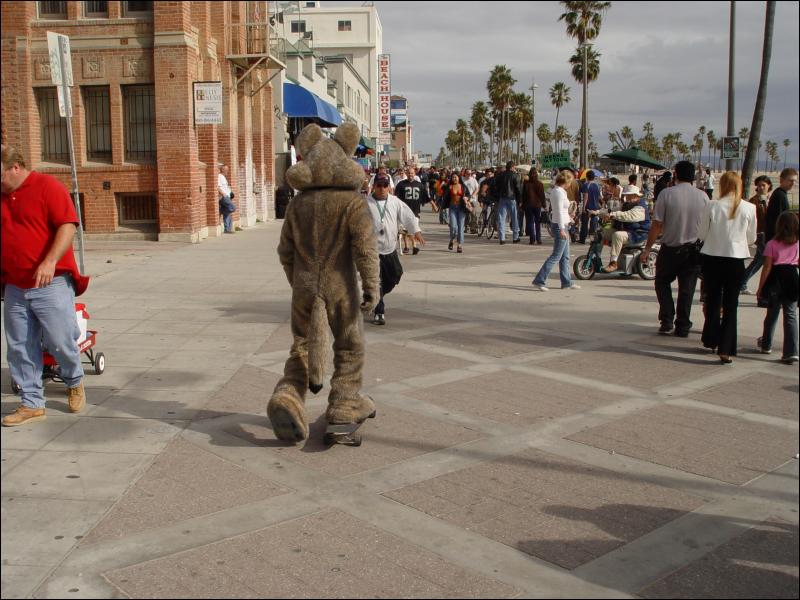 [20030412_VeniceBeach_040.jpg]