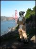 [20040121 Junkvist GGBridge 23]