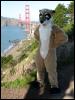 [20040121 Junkvist GGBridge 24]