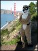 [20040121 Junkvist GGBridge 25]