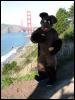 [20040121 Junkvist GGBridge 28]