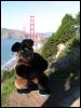 [20040121 Junkvist GGBridge 29]