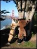 [20040121 Junkvist GGBridge 53]