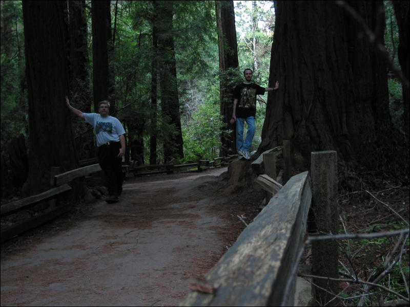 [20040121_Junkvist_MuirWoods_13.jpg]