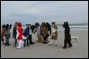 [Kovudalion 201204 Jacksonville Beach 048]