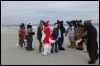 [Kovudalion 201204 Jacksonville Beach 055]