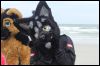 [Kovudalion 201204 Jacksonville Beach 070]