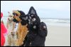 [Kovudalion 201204 Jacksonville Beach 071]