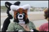 [Kovudalion 201204 Jacksonville Beach 074]