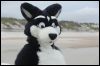 [Kovudalion 201204 Jacksonville Beach 080]