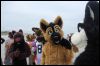 [Kovudalion 201204 Jacksonville Beach 090]