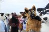 [Kovudalion 201204 Jacksonville Beach 092]