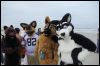 [Kovudalion 201204 Jacksonville Beach 093]