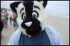 [Kovudalion 201204 Jacksonville Beach 098]