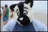 [Kovudalion 201204 Jacksonville Beach 099]