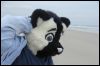 [Kovudalion 201204 Jacksonville Beach 102]