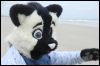 [Kovudalion 201204 Jacksonville Beach 103]