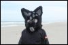 [Kovudalion 201204 Jacksonville Beach 110]